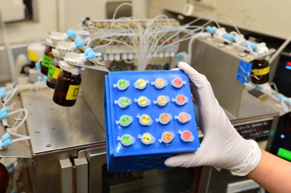 KIST 안대로 박사팀에서 DNA 합성을 통해 개발한 16가지 종류의 DNA 나노입자 라이브러리