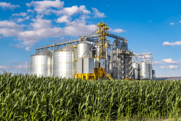 미국은 옥수수를 저장한 거대한 사일로를 볼 수 있는 세계 최대 옥수수 생산국이다. 생산된 옥수수의 40%가 에탄올 생산에 사용되기 때문에 환경단체들은 옥수수 생산 증가가 더 많은 비료 사용과 환경오염으로 이어진다고 주장한다. [출처=Shutterstock]