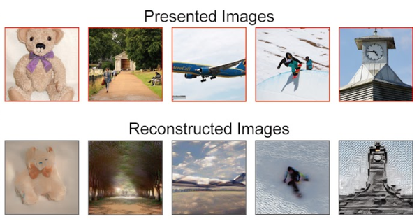 실험 참가자들이 본 이미지(위)와 AI가 재구성한 이미지(아래). [이미지 출처=오사카 프론티어 생명과학대학원]