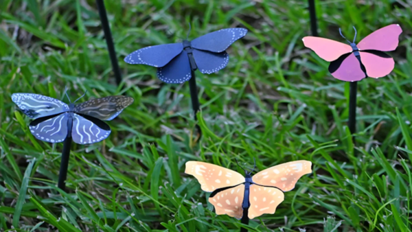 나비 모형의 생생한 색상은 색소 분자 대신 나노 구조가 결합된 결과이다. [이미지 출처=센트럴 플로리다 대학교]
