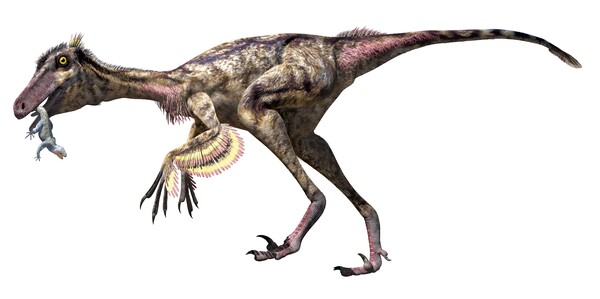 트로오돈 공룡은 새와 파충류 모두와 습성을 조금씩 공유하고 있다. [사진=클립아트코리아] 이미지는 기사 및 보도와 직접적 관련이 없음.