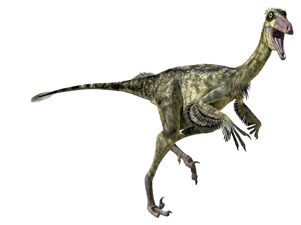 공룡 트로오돈의 예상 형태 [사진=클립아트코리아] 이미지는 기사 및 보도와 직접적 관련이 없음.