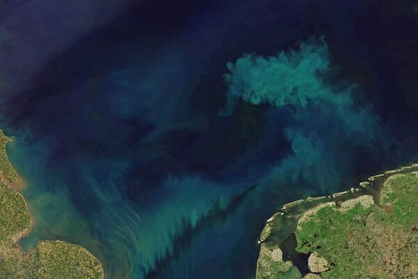 아쿠아 위성에 내재된 MODIS를 이용해 촬영한 바다. 위성 사진은 바다의 미묘한 색 변화를 감지하기 위해 사용되었다. [사진=NASA and Joshua Stevens, using Landsat data from the U.S. Geological Survey and MODIS data from LANCE/EOSDIS Rapid Response.]
