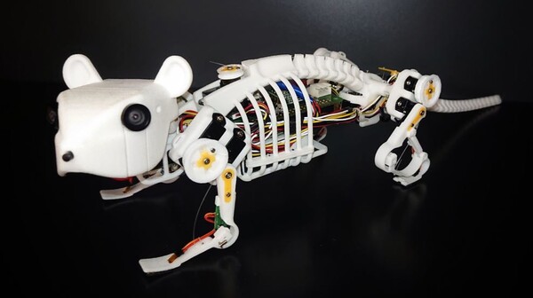 네르모는 쥐의 척추 구조에서 영감을 받아 로봇 네르모를 개발했다. [자료=Zhenshan Bing, et al.]